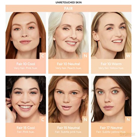 Powder make-up Skin-Perfecting Powder Foundation 8 g - Shade: Fair 17 Neutral