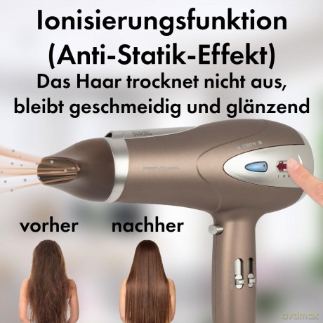 Professional hair dryer HTD 3113 BR