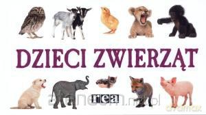 Rozkładanka - Dzieci zwierząt REA [KSIĄŻKA]