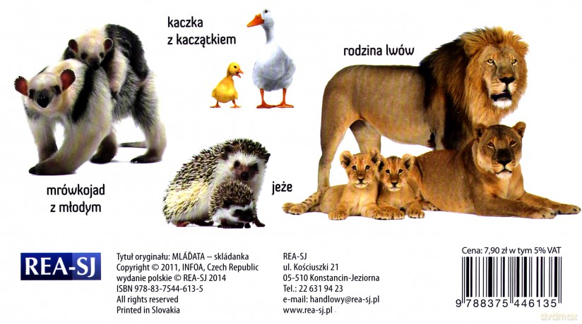 Rozkładanka - Dzieci zwierząt REA [KSIĄŻKA]