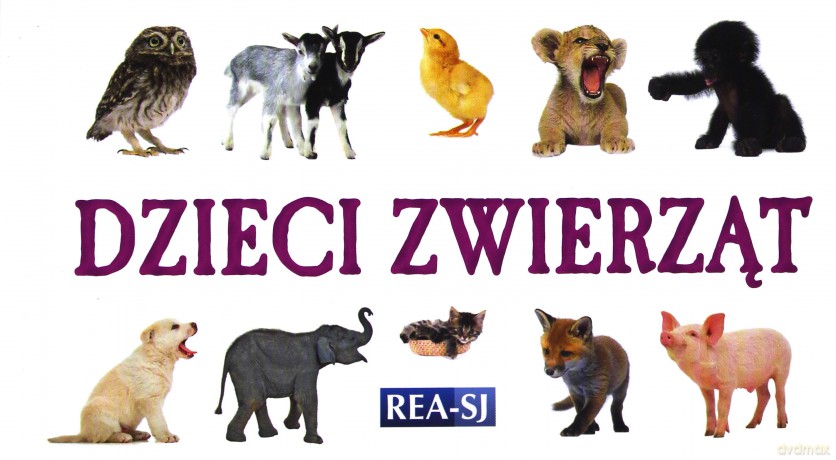 Rozkładanka - Dzieci zwierząt REA [KSIĄŻKA]