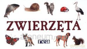 Rozkładanka - Zwierzęta REA [KSIĄŻKA]