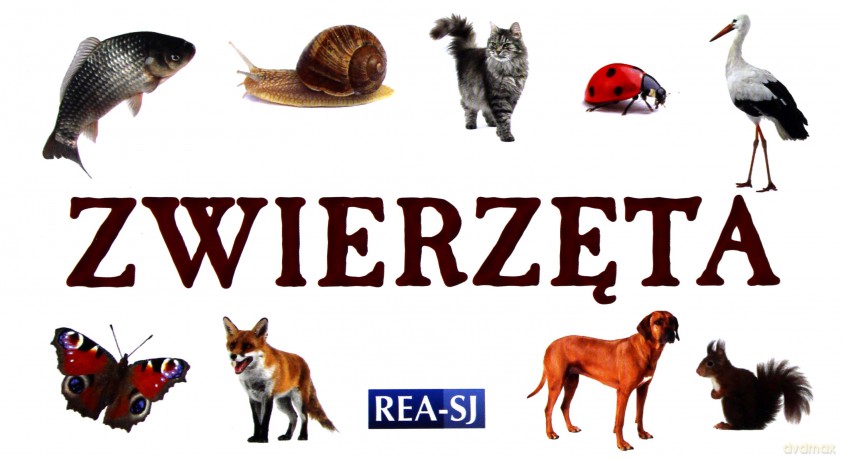 Rozkładanka - Zwierzęta REA [KSIĄŻKA]
