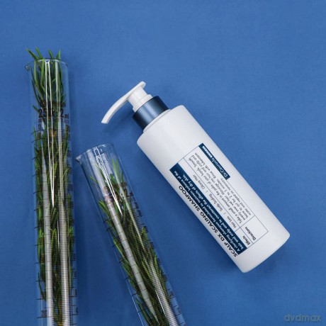 Shampoo against hair loss Scalp DX Scaling Shampoo - Volume: 500 ml