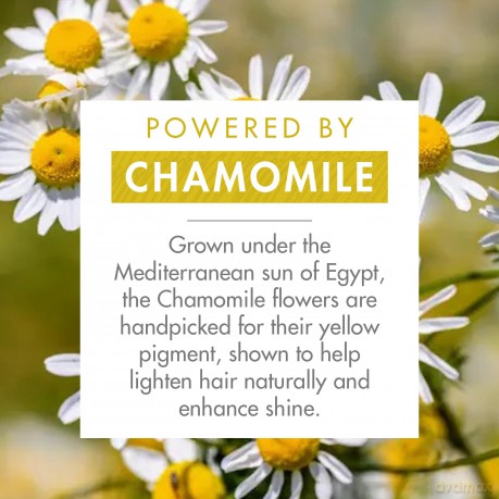Shampoo for blond hair Hemanek Brightening Blond Hair Shampoo - Volume: 400 ml