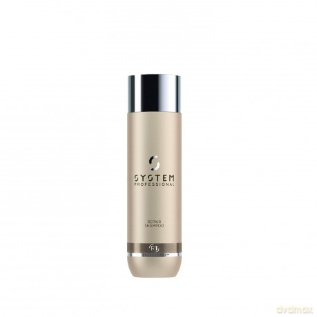 Shampoo for damaged hair Repair Shampoo - Volume: 250 ml