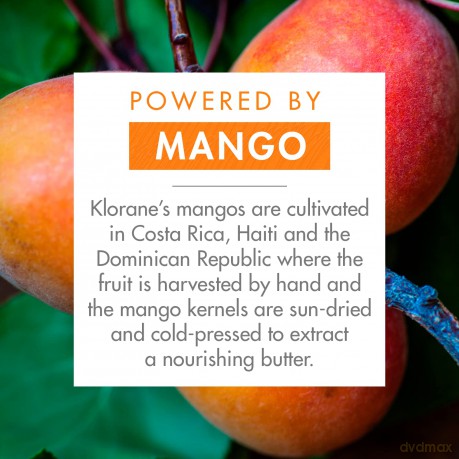 Shampoo for dry and damaged hair Mango Nourishing Treatment Shampoo - Volume: 100 ml
