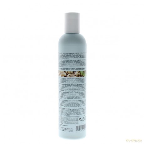 Shampoo for normal to oily hair Normalizing Blend Shampoo - Volume: 300 ml