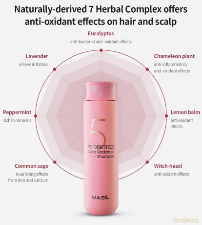 Shampoo with probiotics for colored hair 5 Probiotics Color Radiance Shampoo - Volume: 150 ml
