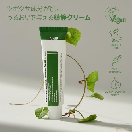 Soothing skin cream with Asian navel Wonder Releaf Centella Cream 50 ml