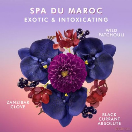 Spa Du Maroc Liquid Hand Soap Hand Wash 360 ml