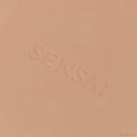 Total Finish powder make-up refill Refill 11 g - Shade: TF103
