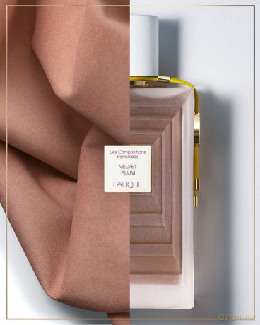 Velvet Plum - woda perfumowana - Volume: 100 ml