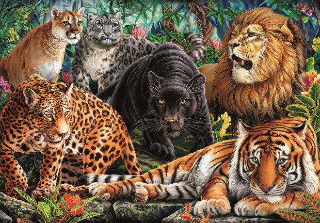 CLEMENTONI 500 el. Wild Cats [PUZZLE]