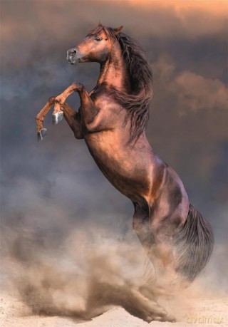 CLEMENTONI 500 el. Wild Red Stallion [PUZZLE]