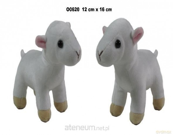 Owca 16 cm