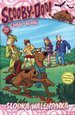 Scooby Doo! Czytaj i zgaduj. 10 Słodka walentynka [KSIĄŻKA]