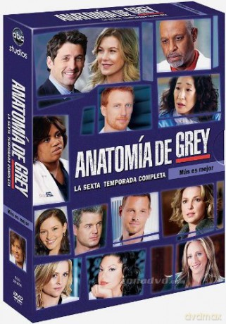 Anatomia de Grey - Temporada 6 [DVD]