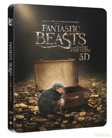 Fantastic Beasts and Where to Find Them - Limited Edition Steelbook [Blu-Ray]