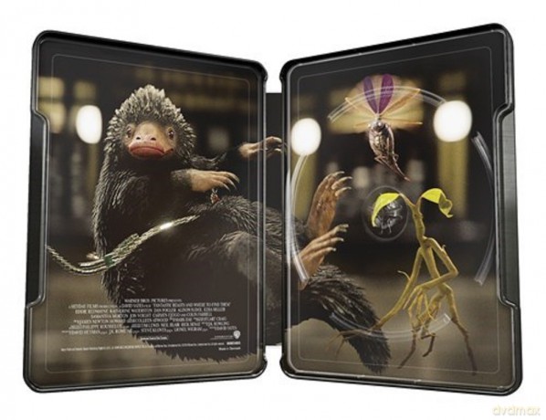 Fantastic Beasts and Where to Find Them - Limited Edition Steelbook [Blu-Ray]
