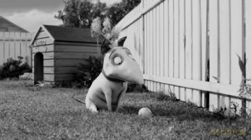 Frankenweenie [2xBlu-Ray]