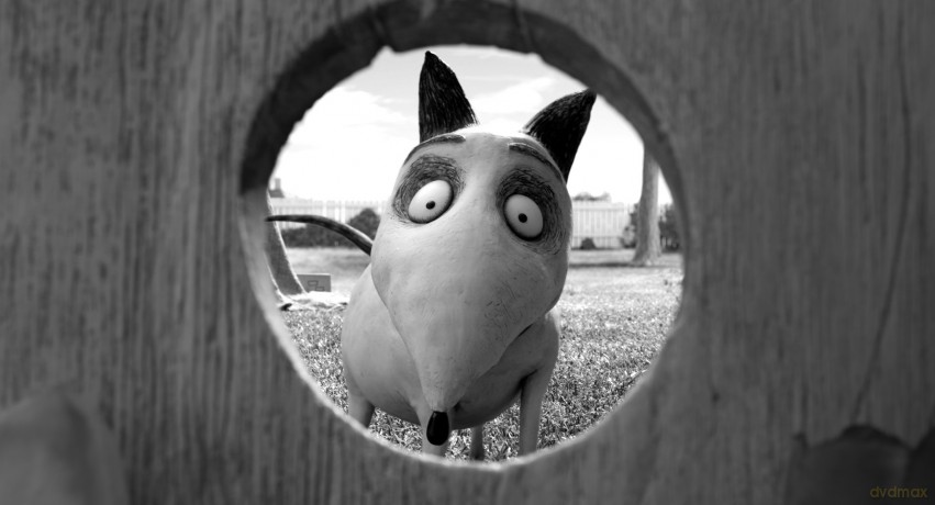 Frankenweenie [2xBlu-Ray]