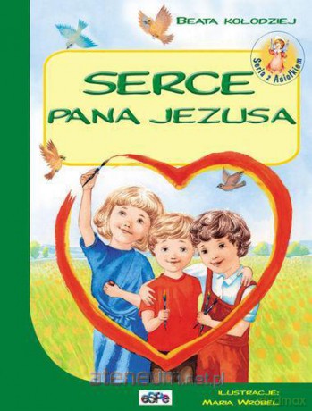 Serce Pana Jezusa [KSIĄŻKA]