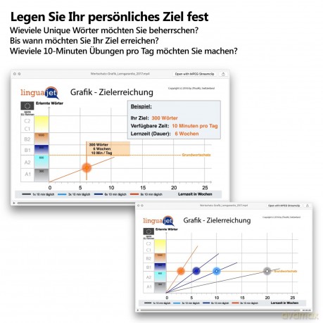 Linguajet Starterpaket: Gehirn-gerecht Sprachen lernen, Computerkurs Linguajet [CD]