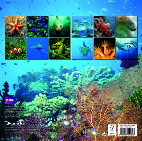 Official BBC Earth - Oceans 2013 Calendar [Winyl]
