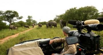 Safari 3D [4DVD]