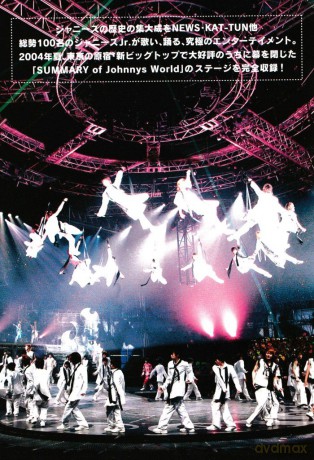 Summary of Johnnys World [DVD]