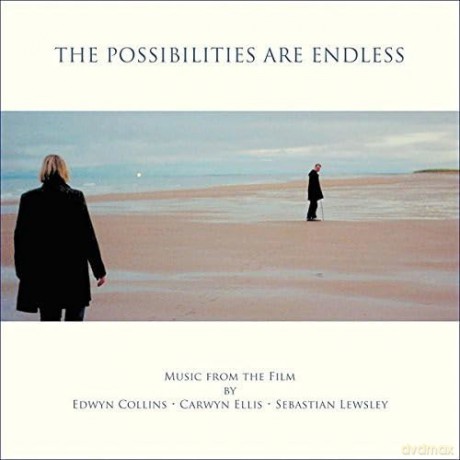 The Possibilities Are Endless [CD]