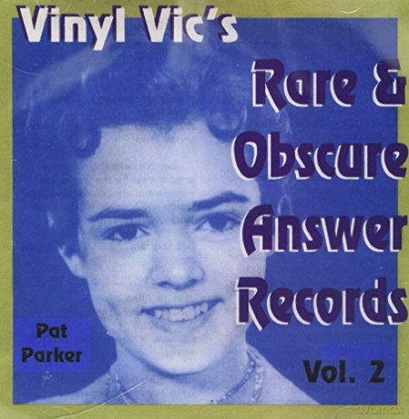 Vinyl Vic's Number 02 Rare Answer [CD]