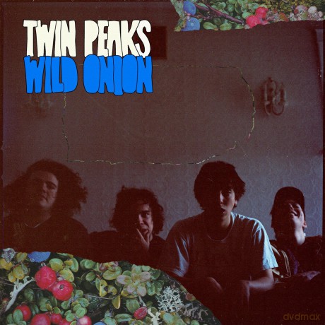 Wild Onion [CD]