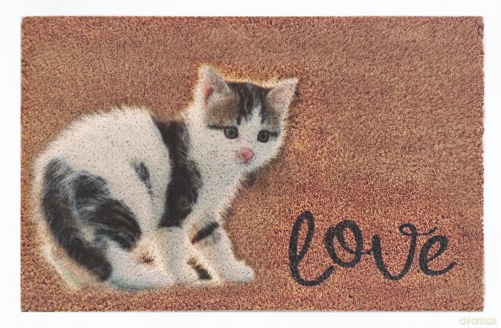 Wycieraczka Love Kotek 40 x 60 CM