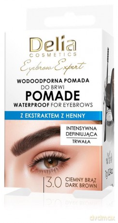 DELIA EYEBROW EXPERT Pomada do brwi 3.0 brąz