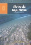 Słowacja. Kąpieliska termalne i mineralne [KSIĄŻKA]