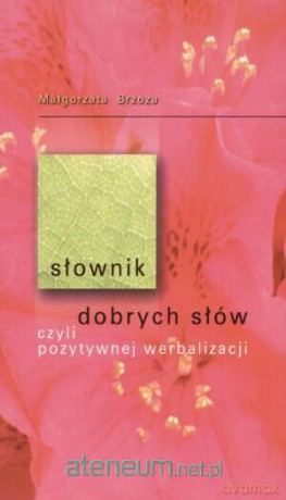 Słownik dobrych słów czyli pozytywnej werbalizacji [KSIĄŻKA]