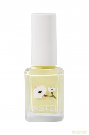 PASTEL Lakier do paznokci nr 413 13 ml