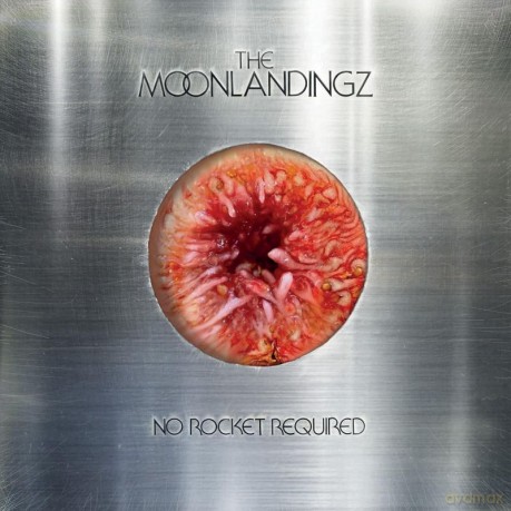 The Moonlandingz: No Rocket Required [Winyl]