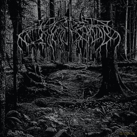 Wolves In The Throne Room: 2005 Demo [Winyl]