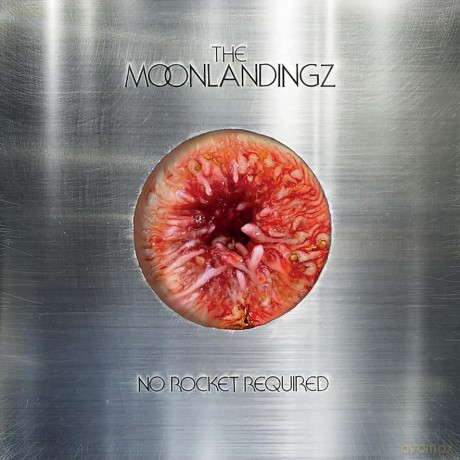 The Moonlandingz: No Rocket Required [CD]