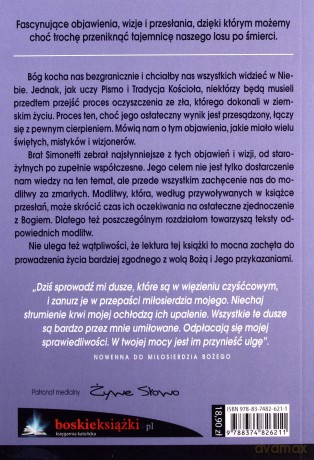 Spotkania z duszami czyśćcowymi [KSIĄŻKA]