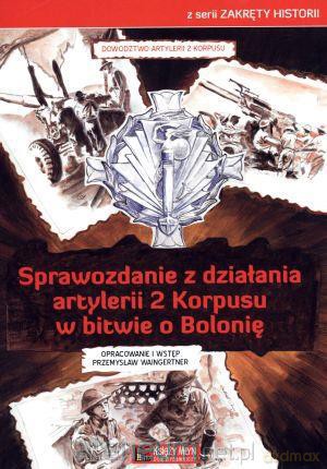 Sprawozdanie z działania artylerii 2 [KSIĄŻKA]
