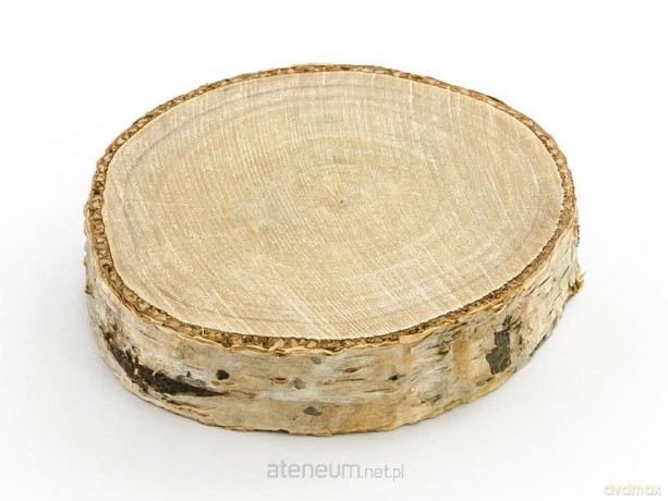 Drewniane wizytówki na stół 4,5-6,5cm 6szt