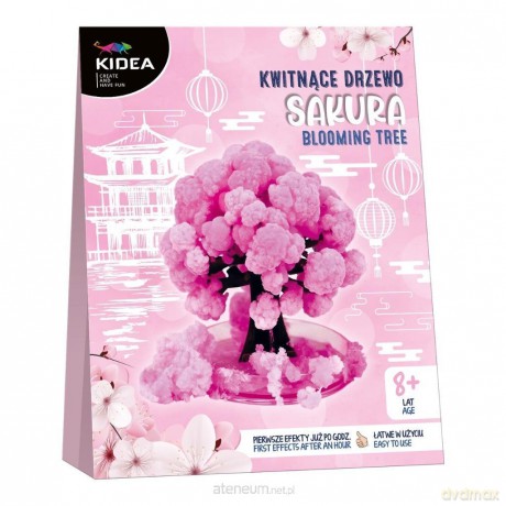 Kwitnące drzewo sakura