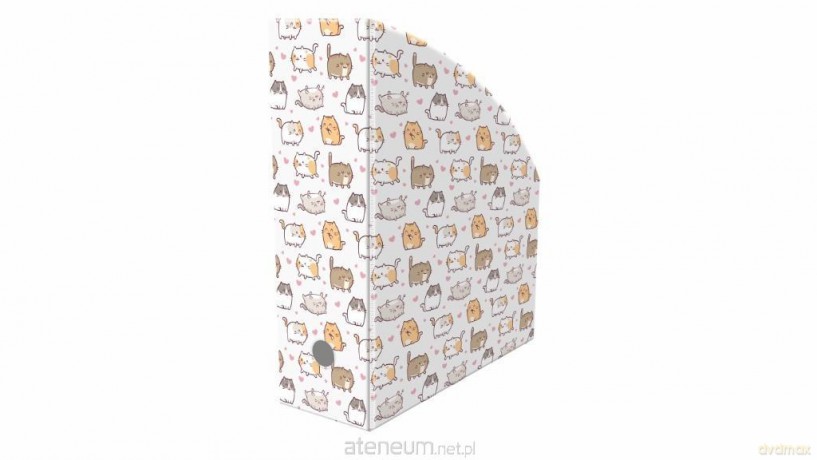 Pojemnik na dokumenty kittens 10cm