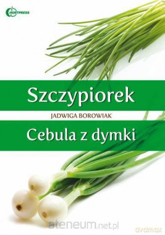 Szczypiorek i cebula z dymki [KSIĄŻKA]