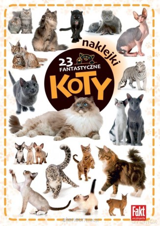 23 fantastyczne koty [KSIĄŻKA]