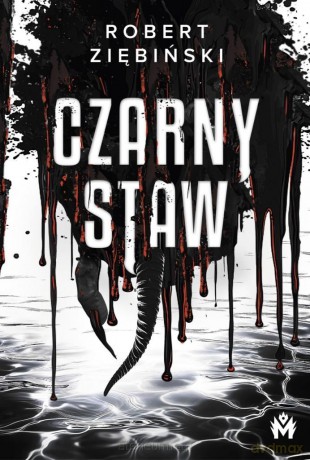 Czarny Staw - Robert Ziębiński [KSIĄŻKA]